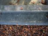 image of grave number 910591